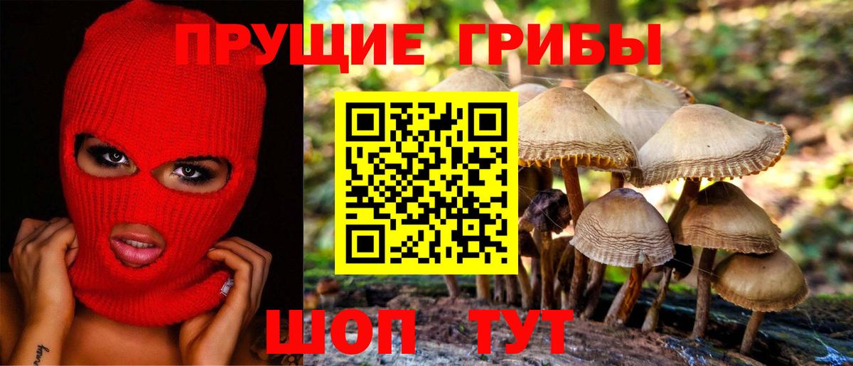 Галлюциногенные грибы мицелий  Вход с VPN  Усть-Лабинск  Псилоцибиновые грибы ЛСД 