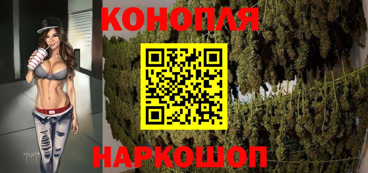 Бошки Шишки планчик Усть-Лабинск